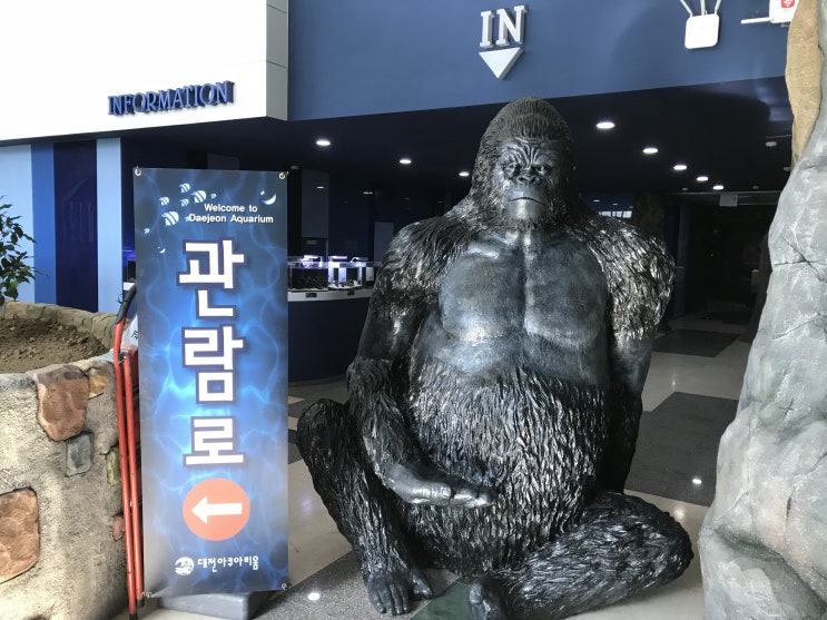  대전시 가볼만한 곳 - 대전 아쿠아리움