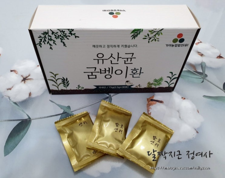  국내산100% 동탄굼벵이/고단백 간건강 피로회복