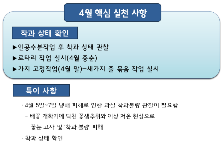 4월 감이농장 영농일지_2 4월 감이농장 영농일지_2