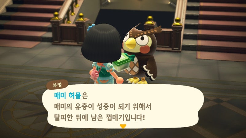 모동숲 LOG 6 - 곤충도감 컴플리트! 금잠자리채 GET~ : 네이버 블로그 모동숲 Log 6 - 곤충도감 컴플리트! 금잠자리채 Get~ : 네이버 블로그
