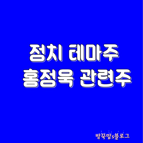[정치테마주] 홍정욱 관련주 "40대기수론"에 급등