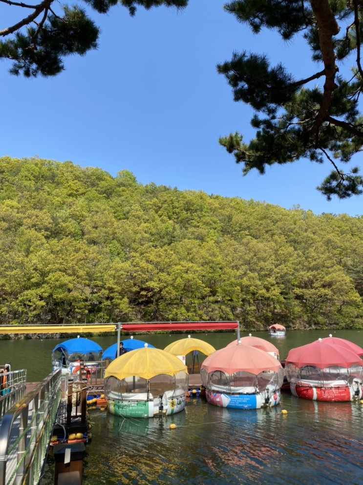  함안공원 <입곡군립공원>