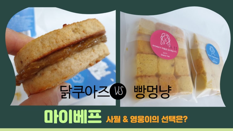 마이베프 강아지간식 ' 닭쿠아즈 ' 큐브식빵 '너희만빵멍냥' ASMR 마이베프 강아지간식 ' 닭쿠아즈 ' 큐브식빵 '너희만빵멍냥' ASMR