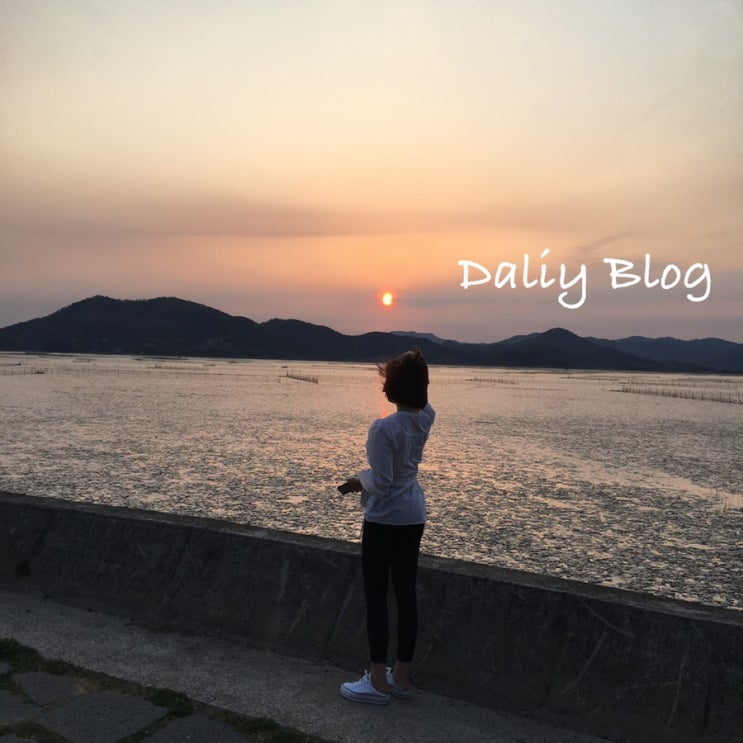  직장인 앨리스의 먹방일기/ 일상 블로그 #6