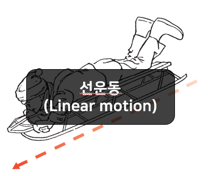  선운동(Linear motion) 쉽게 이해하기 - 직선운동, 곡선운동