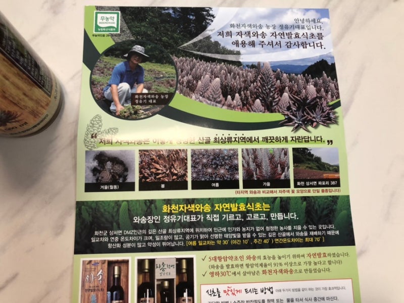 항암음식 추천 / 정유기대표 화천와송 발효식초 7