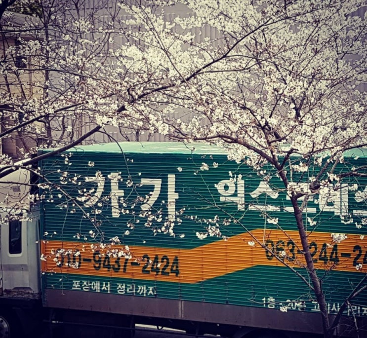  익산포장이사잘하는곳가가맨입니다