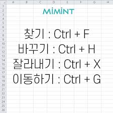  컴활워드필기 한글 단축키 정리 3편 -  도구 매크로 표 계산식 창 그림 단축키