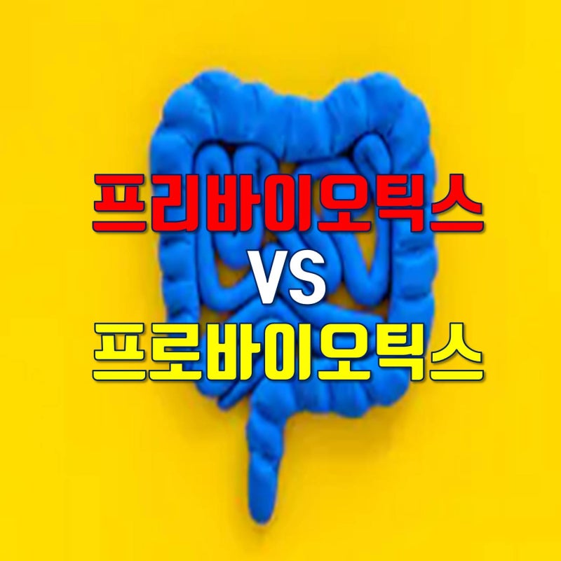 프로바이오틱스 프리바이오틱스(프락토올리고당)의 차이, 효능 알아보기