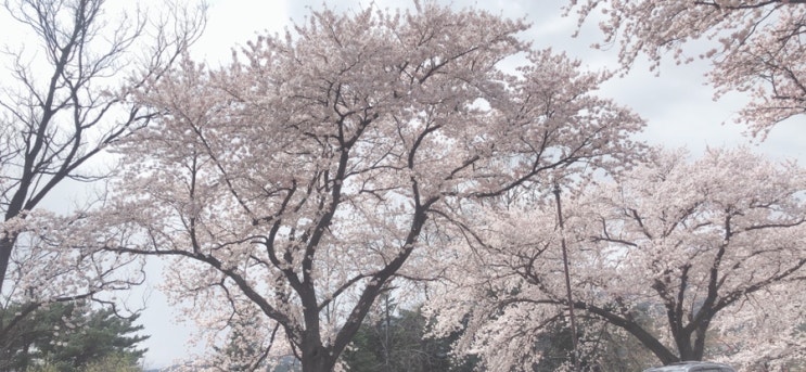  지남
