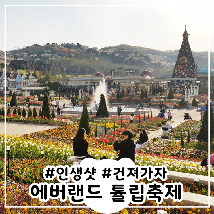  에버랜드튤립축제 인생샷 포토존 추천