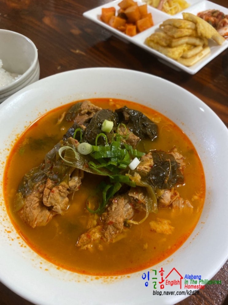  알라방 홈스테이 후루룩 짭짭 맛있는 잉글홈의 소리~