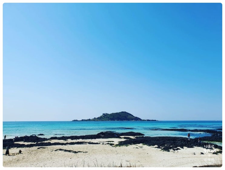  "제주 황금연휴 2박 3일 여행"변함없는 맛을 자랑하는 전복돌솥밥 정식 한식 전문점"장모식탁"