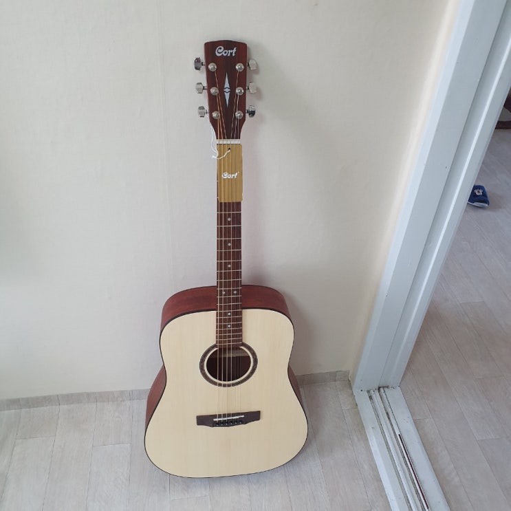  [콜트]Cort AD850 new 업그레이드 콜트 통기타 op 리뷰!!