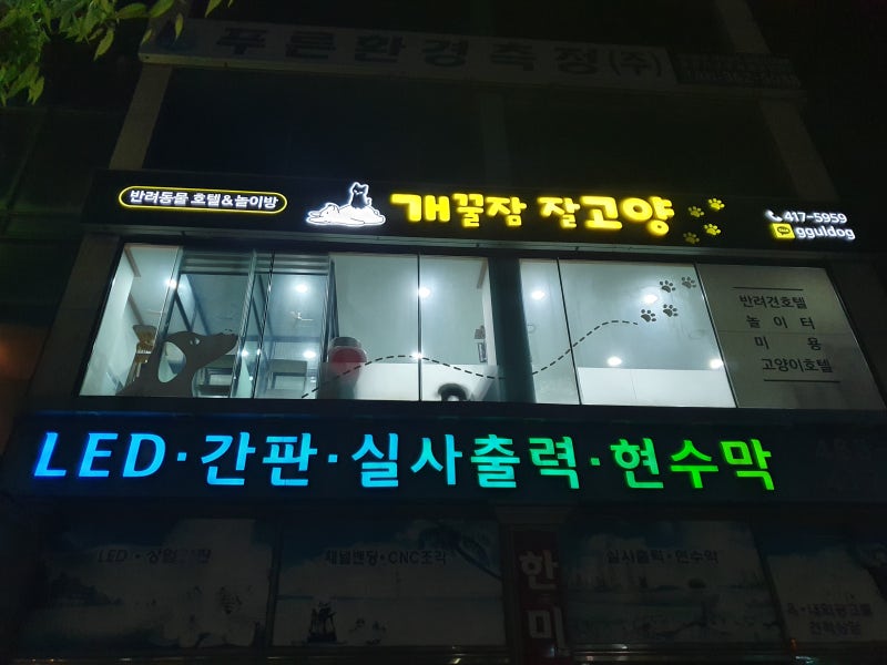 사진 5