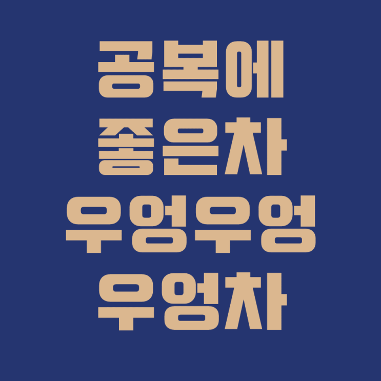  공복에 마시면 좋은 차 후보 & 우엉차 리뷰