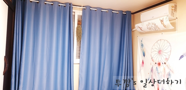  행잉플랜트_틸란드시아