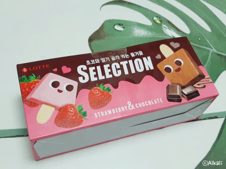  초코/딸기맛을 간편히 골라 먹을 수 있는 롯데 셀렉션 아이스크림 / 아이 간식 아이스크림 추천