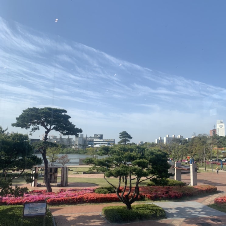  일상 열셋-순천맛집, 살락스, 세크커피, 다이어트, 스타벅스, 집들이, 먹방, 광양맛집, 순천카페