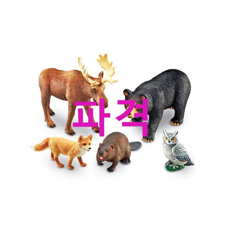 러닝리소스 20787 점보 숲속 동물! 눈물나는 가격 러닝리소스 20787 점보 숲속 동물! 눈물나는 가격