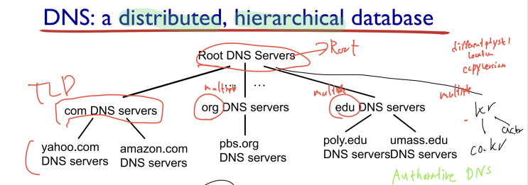 10. Application Later : DNS