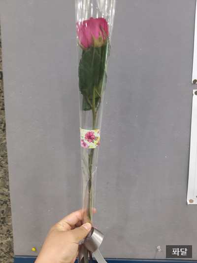  장미선물을 받았습니다. 남자에게서. 저도 남잔데..ㅠㅠ(서울강서도서관, 장미선물이벤트 ㅋㅋㅋ)