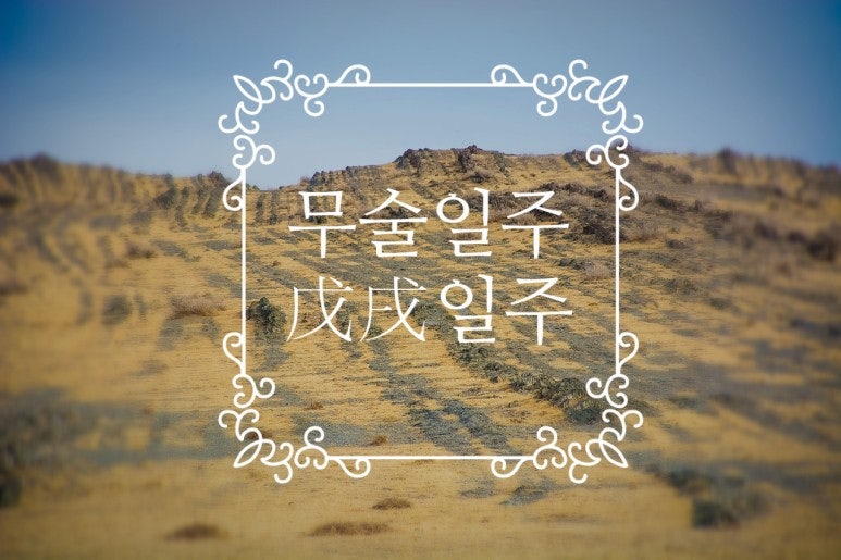 무술일주] 생긴대로 못 사는게 스트레스. 받아들이고 본성을 개방하라. : 네이버 블로그