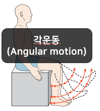  각운동(Angular motion) 쉽게 이해하기!!