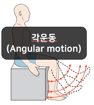 각운동(Angular motion) 쉽게 이해하기!!