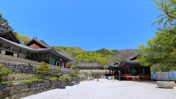  산청 지리산 대원사