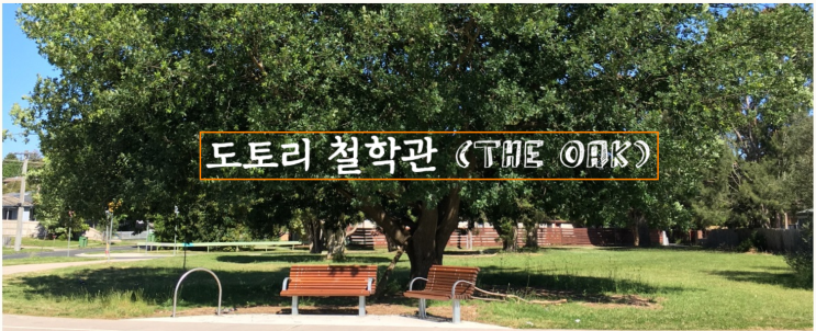  블로그스팟 "도토리 철학관"을 구독해주세요!