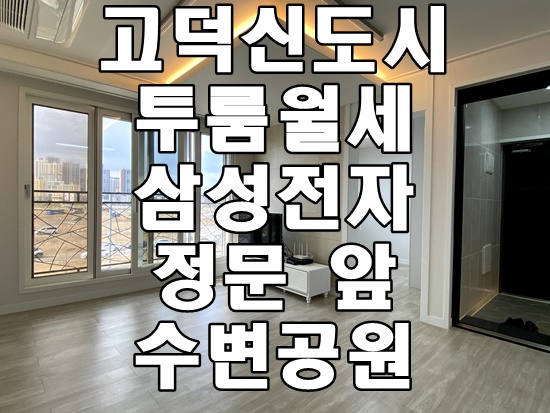  평택고덕 신축 투룸 월세 주차 편하고 풀옵션 뷰가 예쁜 집 붙박이장 수납