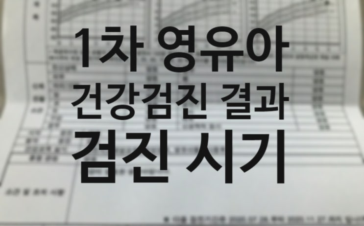 1차 영유아건강검진 결과표 보기, 영유아건강검진 시기는?