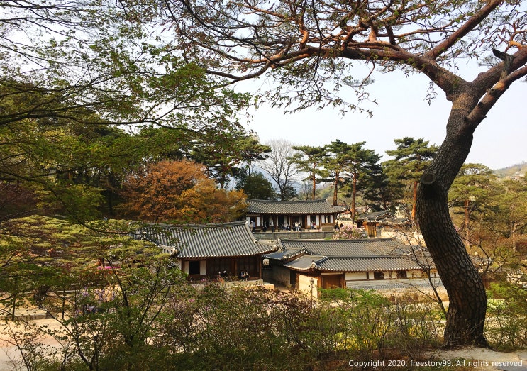 햇살 가득 부암동 석파정에서의 봄나들이~ 햇살 가득 부암동 석파정에서의 봄나들이~