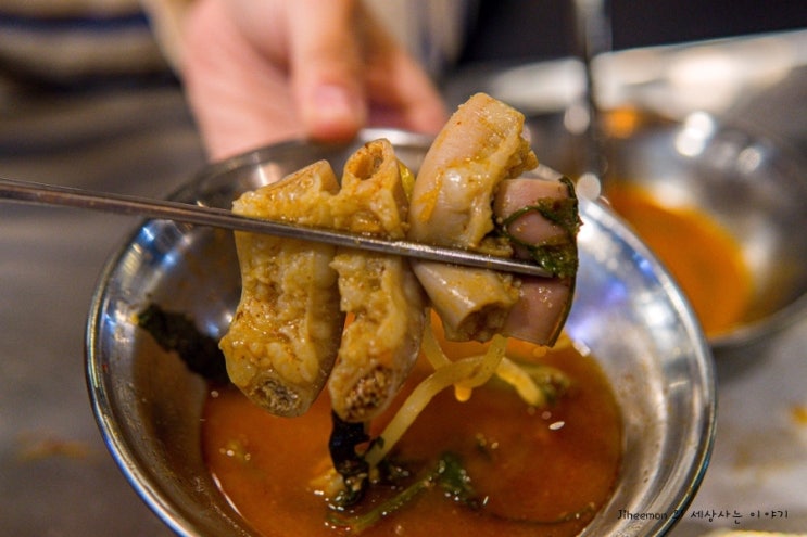  화곡동 맛집 :: 광명대창집 강서구청점, 곱창전골도 맛있어요 : )