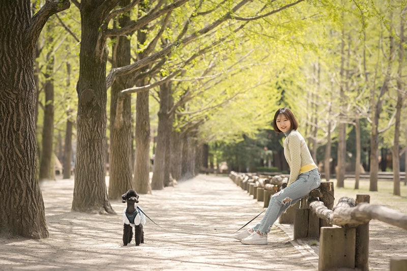 사진 9
