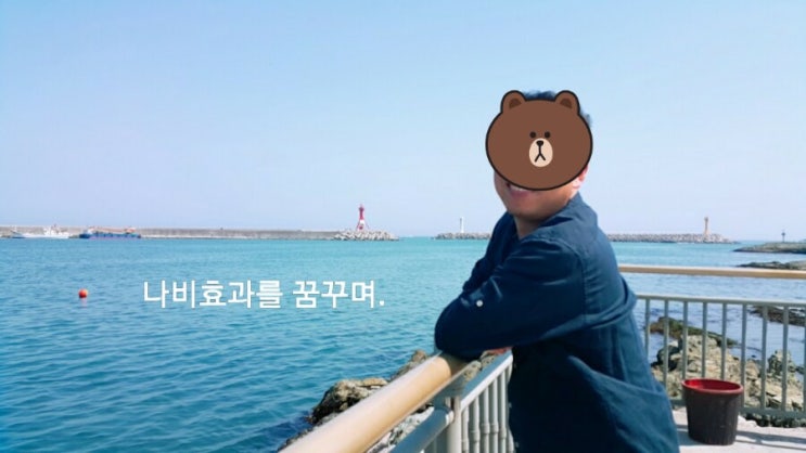  [남편건강프로젝트]고혈압약 끊은방법 feat.3차발효효소