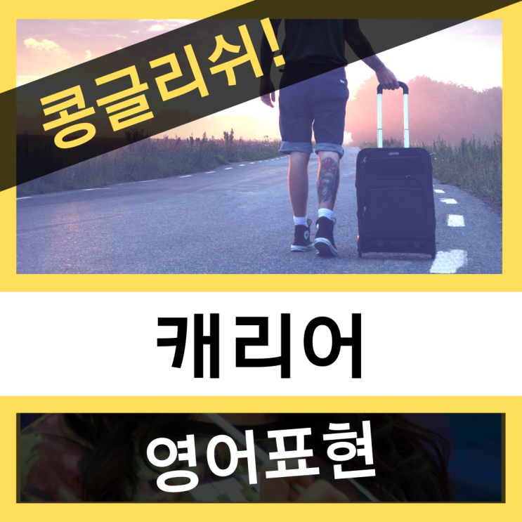 캐리어가 콩글리쉬? 캐리어 영어로?