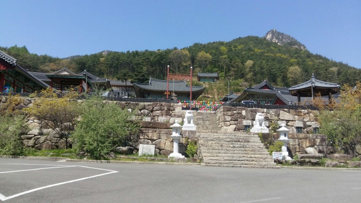 성주 심원사 성밖숲 후기