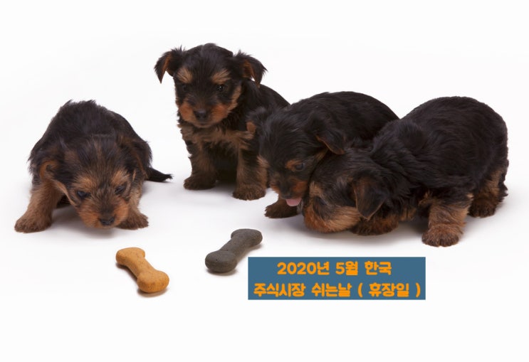  5월 한국 주식시장 쉬는날 (근로자의날,어린이날) + 황금연휴