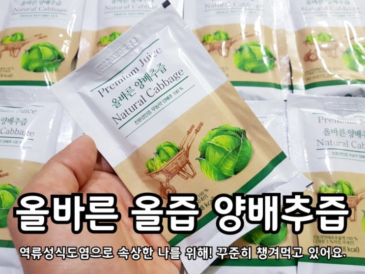 위에좋은차 올즙 올바른 양배추즙 한잔! 위에좋은차 올즙 올바른 양배추즙 한잔!