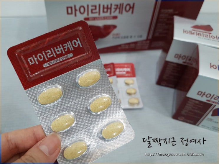  피로회복 숙취해소 간영양제 : 밀크시슬 마이리버케어