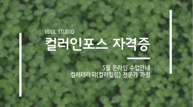  5월 컬러인포스 컬러테라피 자격증 과정/퍼스널브랜딩 수업/진로&퇴사 고민