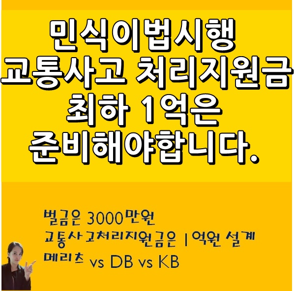  운전자보험 20년납 20년만기 메리츠/DB/KB비교 견적안