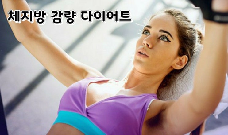 체지방 감량 다이어트 체지방 감량 다이어트