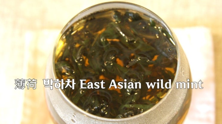 [Korean Teatime] 薄荷 박하차 East Asian wild mint - Relaxed Music