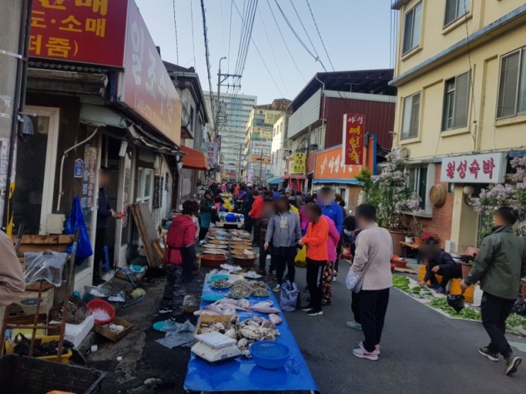  군산시장 현지인들은 군산새벽시장으로가요