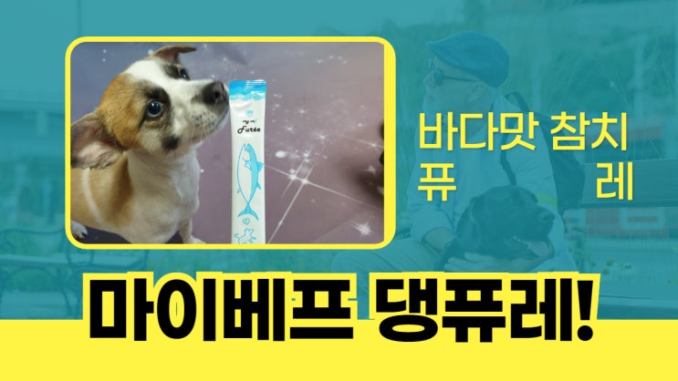 강아지츄르 마이베프 바다맛참치 '퓨레 ' 댕퓨레 는 어떤맛일까? 강아지츄르 마이베프 바다맛참치 '퓨레 ' 댕퓨레 는 어떤맛일까?
