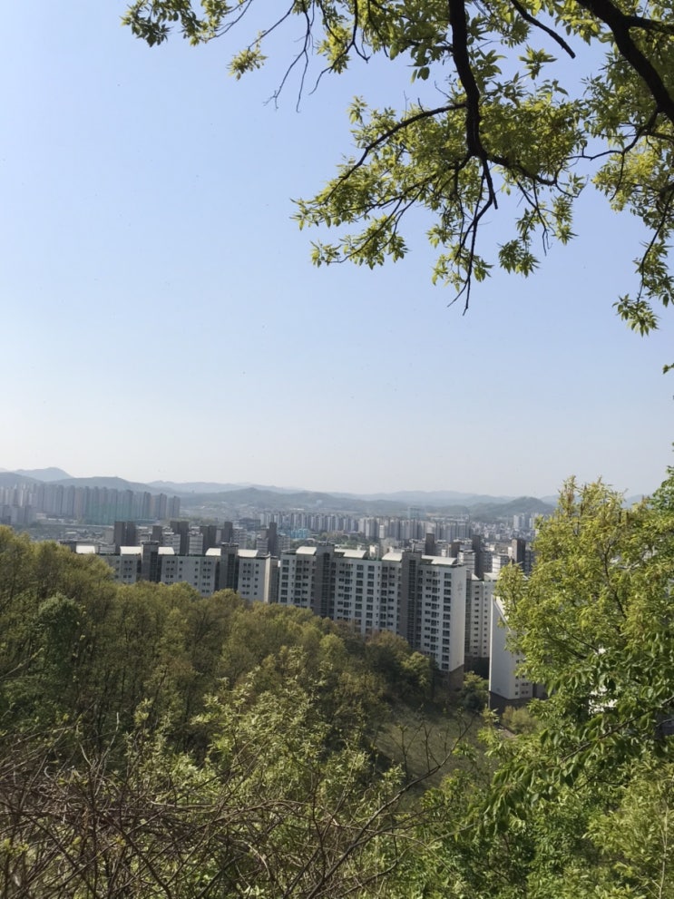 천안 동네뒷산 월봉산에 이은 일봉산 산책로 정복기