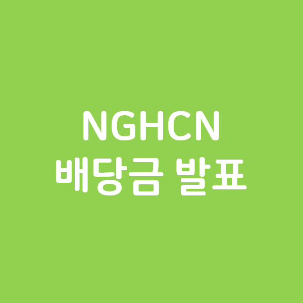 National General Holding NGHCN 배당금 발표